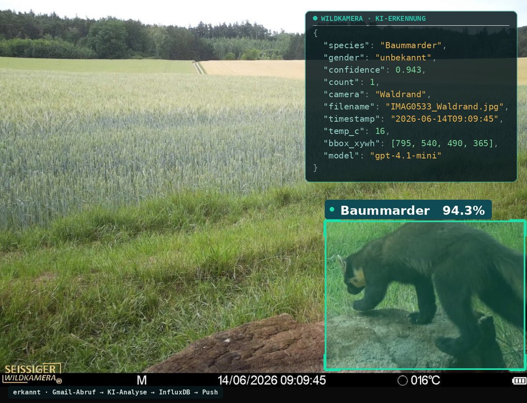 KI-Erkennung eines Baummarders