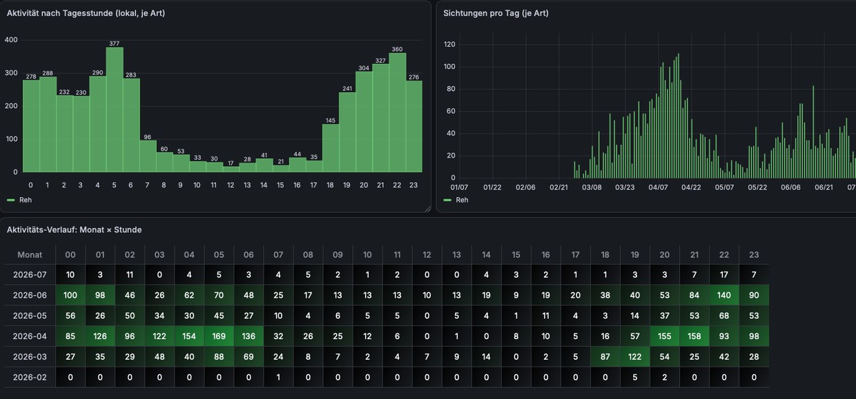 Grafana-Dashboard mit Aktivität nach Tagesstunde, Sichtungen pro Tag und Monat-Stunde-Heatmap
